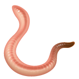 Whatsapp design of the worm emoji verson:2.23.2.72