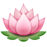 Whatsapp design of the lotus emoji verson:2.23.2.72