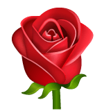 Whatsapp design of the rose emoji verson:2.23.2.72