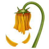 Whatsapp design of the wilted flower emoji verson:2.23.2.72