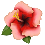 Whatsapp design of the hibiscus emoji verson:2.23.2.72