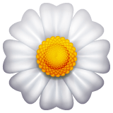Whatsapp design of the blossom emoji verson:2.23.2.72