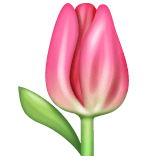 Whatsapp design of the tulip emoji verson:2.23.2.72