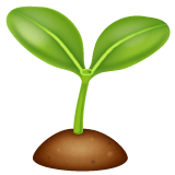 Whatsapp design of the seedling emoji verson:2.23.2.72