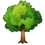 Whatsapp design of the deciduous tree emoji verson:2.23.2.72