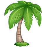 Whatsapp design of the palm tree emoji verson:2.23.2.72