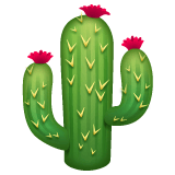 Whatsapp design of the cactus emoji verson:2.23.2.72