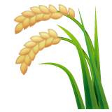Whatsapp design of the sheaf of rice emoji verson:2.23.2.72