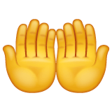 Whatsapp design of the palms up together emoji verson:2.23.2.72