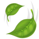 Whatsapp design of the leaf fluttering in wind emoji verson:2.23.2.72