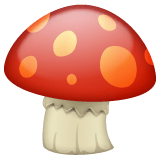 Whatsapp design of the mushroom emoji verson:2.23.2.72