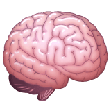 Whatsapp design of the brain emoji verson:2.23.2.72