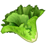 Whatsapp design of the leafy green emoji verson:2.23.2.72