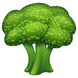 Whatsapp design of the broccoli emoji verson:2.23.2.72