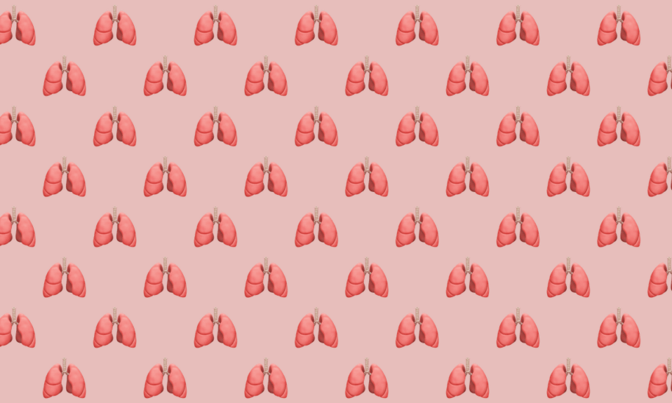 hello worlddescription