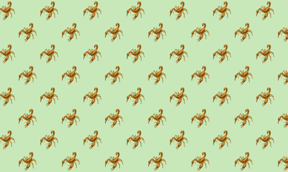 hello worlddescription