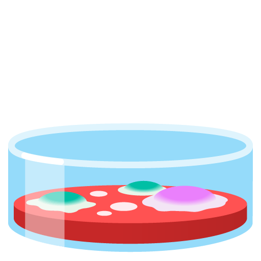 Google design of the petri dish emoji verson:Noto Color Emoji 15.0