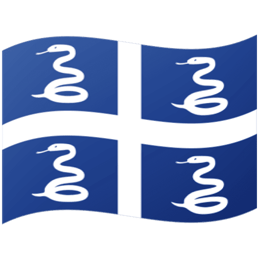 Google design of the flag: Martinique emoji verson:Noto Color Emoji 15.0