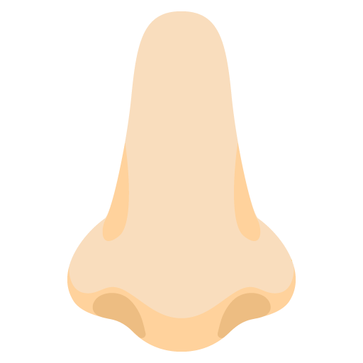 Google design of the nose: light skin tone emoji verson:Noto Color Emoji 15.0