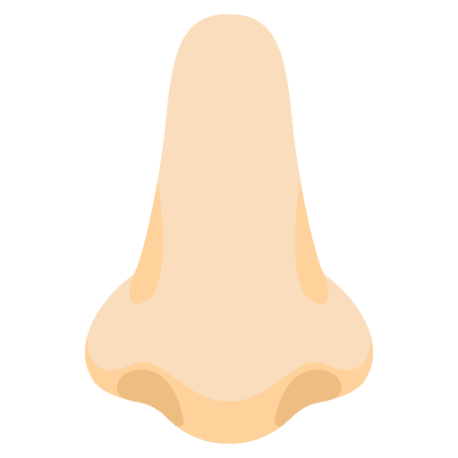 Google design of the nose: light skin tone emoji verson:Noto Color Emoji 15.0