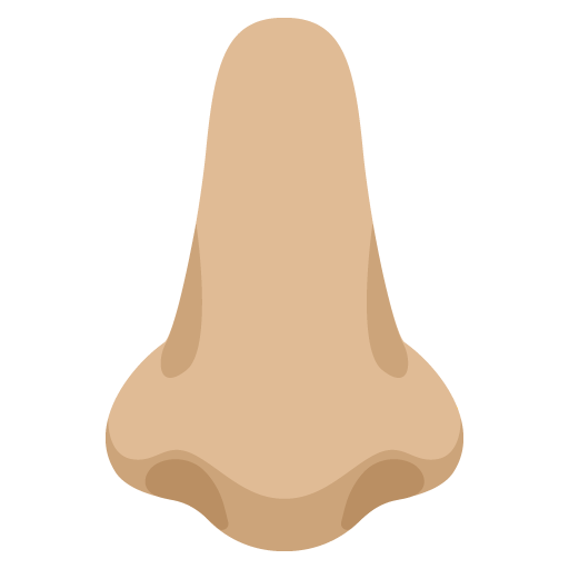 Google design of the nose: medium-light skin tone emoji verson:Noto Color Emoji 15.0