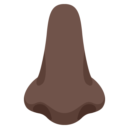 Google design of the nose: dark skin tone emoji verson:Noto Color Emoji 15.0