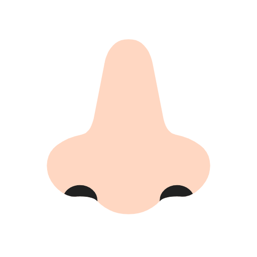 Microsoft design of the nose: light skin tone emoji verson:Windows-11-23H2