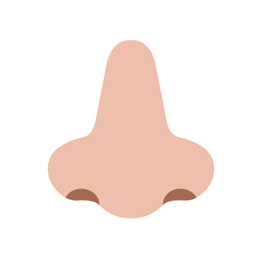 Microsoft design of the nose: medium-light skin tone emoji verson:Windows-11-23H2