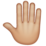 Whatsapp design of the raised back of hand: medium-light skin tone emoji verson:2.23.2.72